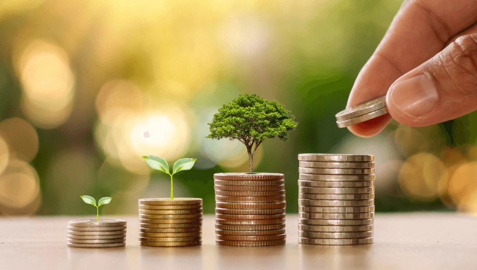 What is green banking and why does it matter?